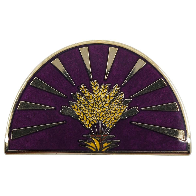 Pathfinder Society Faction Pin - Radiant Oath