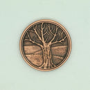 Fall of Magic coins (5)