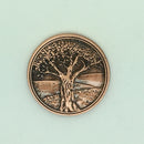 Fall of Magic coins (5)